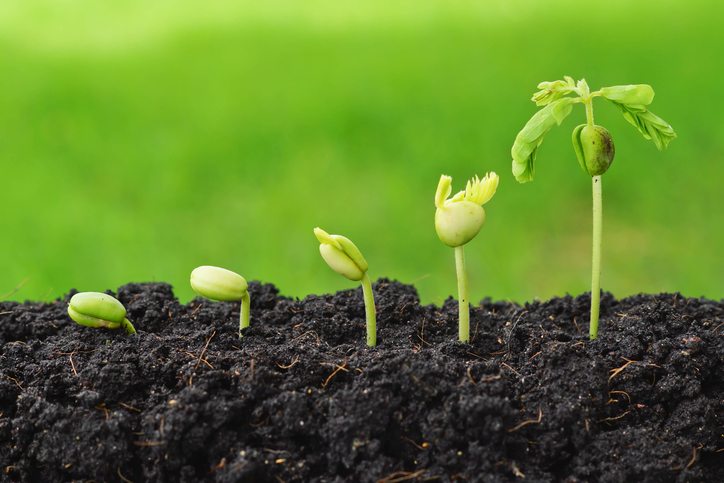 CommercialFarming-1